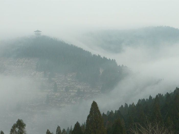 水泊梁山风景区员工随手拍入围作品展播1_观赏网 水泊梁山风景区员工随手拍入围作品展播1